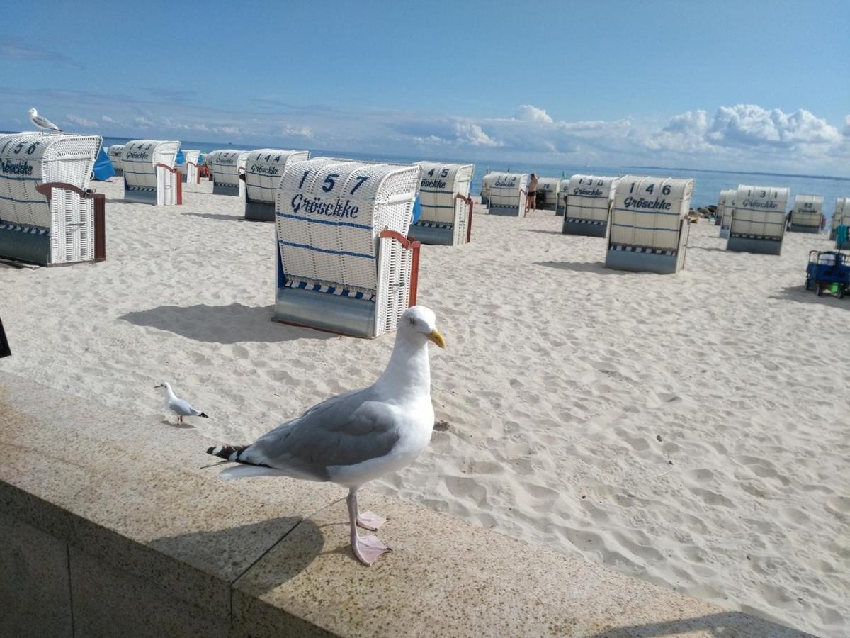 Ostsee Fewo By Wolf Grömitz Eksteriør billede